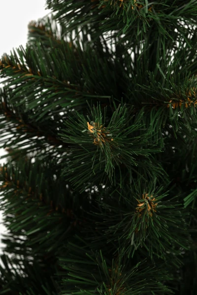 picture-2