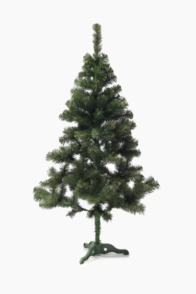 picture-1