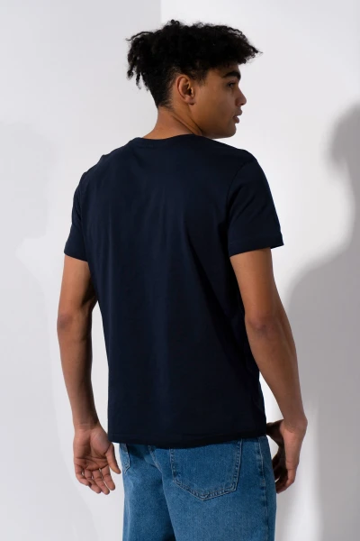 picture-4