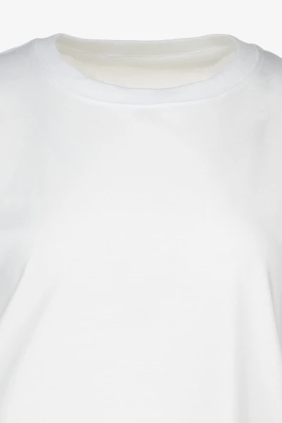 picture-2