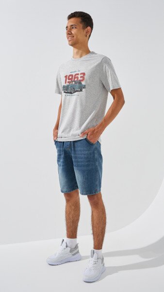 picture-4