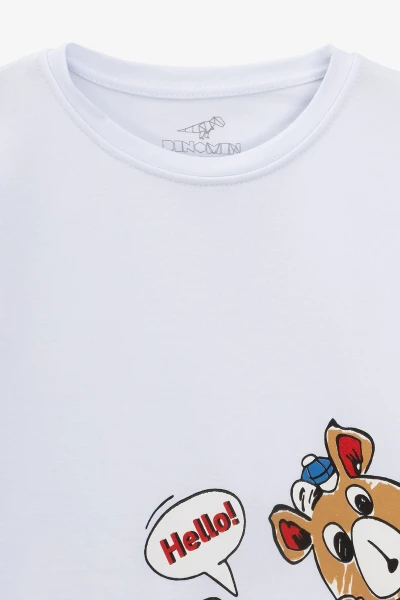 picture-3