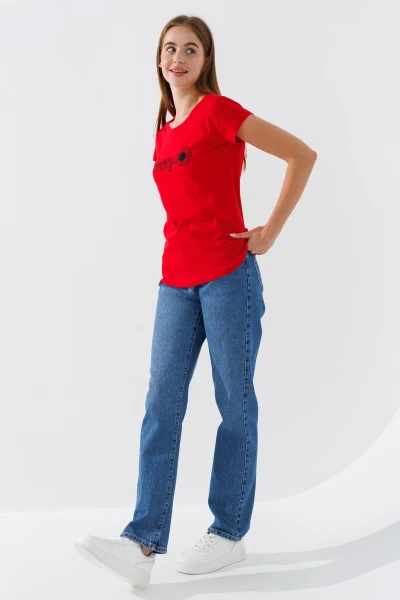 picture-3