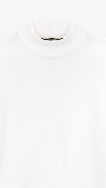 picture-2