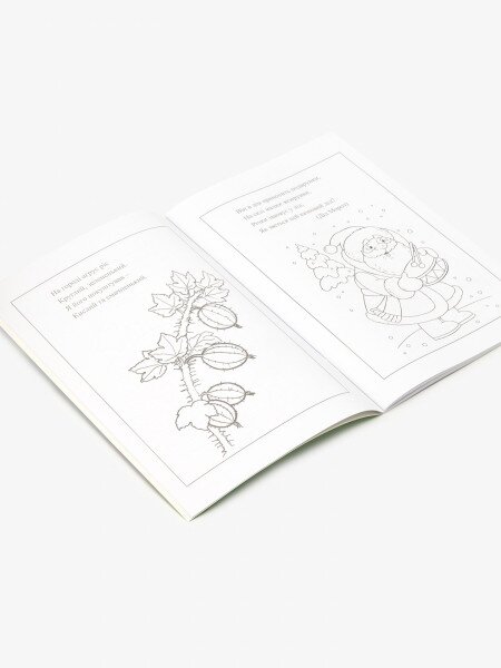 Купити Книга розмальовок "Вірші та загадки" 12B-010 Різнокольоровий Артикул: 4820168950094 Фото №2
