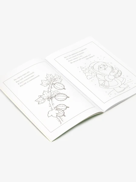 Купить Книга раскрасок "Стихи и загадки" 12B-010 Разноцветный Артикул: 4820168950094 Фото №2