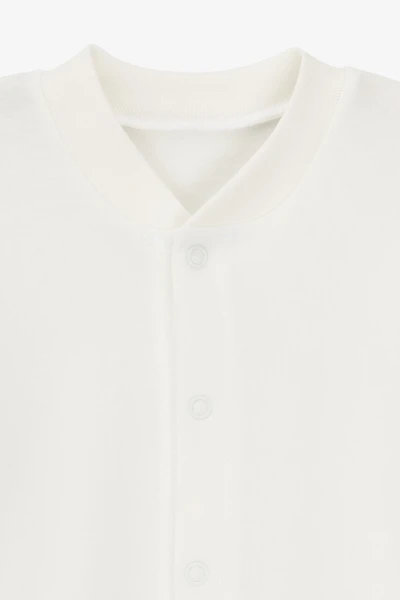 picture-2