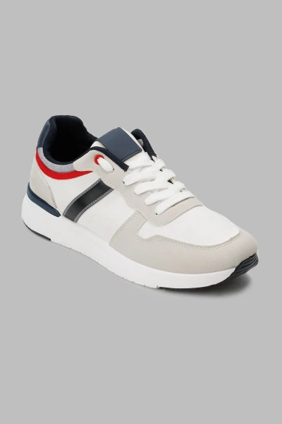 picture-4