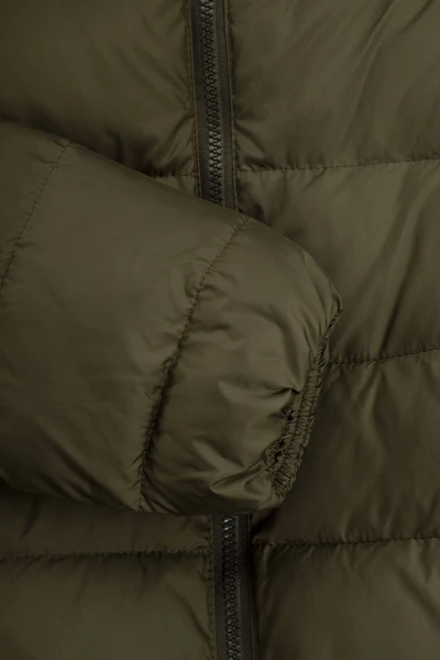 picture-4