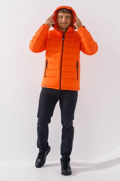 picture-3