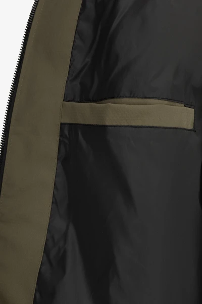 picture-2