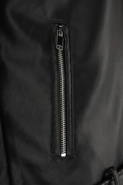 picture-4