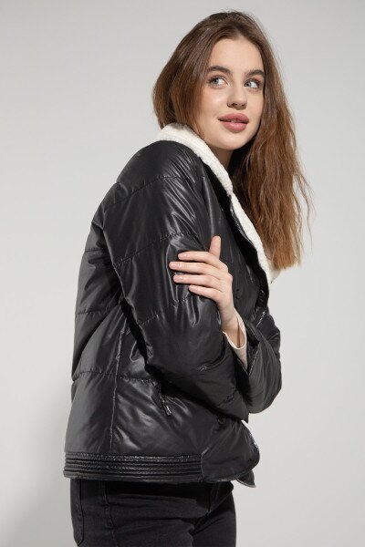 picture-4