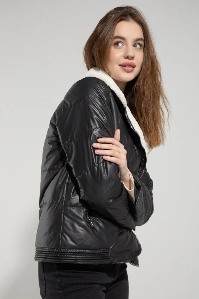 picture-4