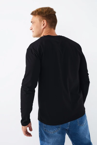 picture-4