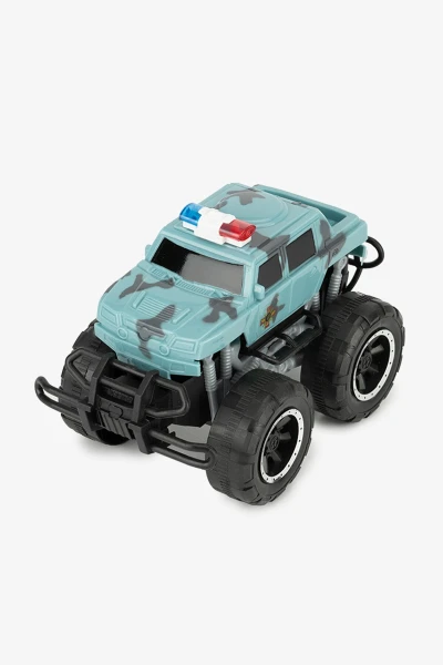 picture-1