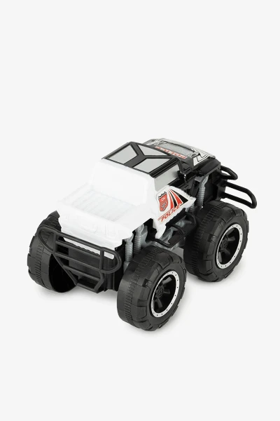 picture-2