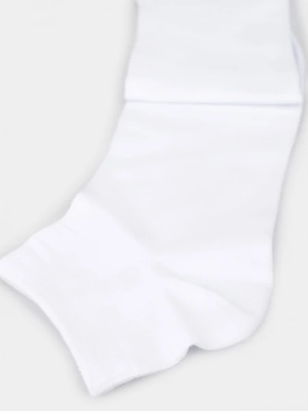 picture-3
