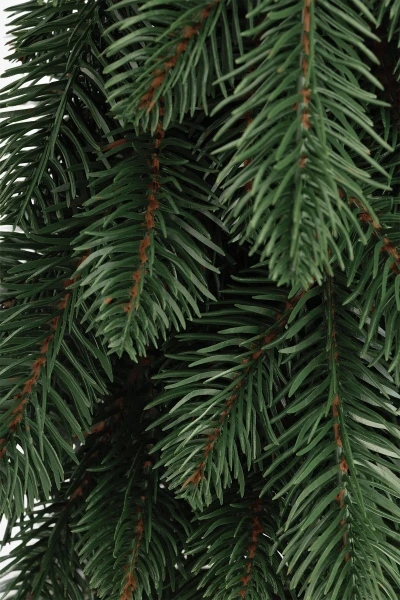 picture-2