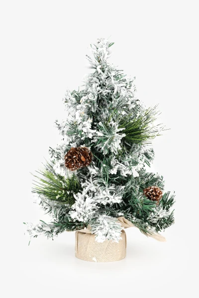 picture-1