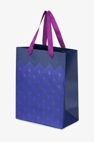 Купить Пакет подарочный MEDIUM Bright foil 760417ML Синий Артикул: 2000991027008 Фото №2
