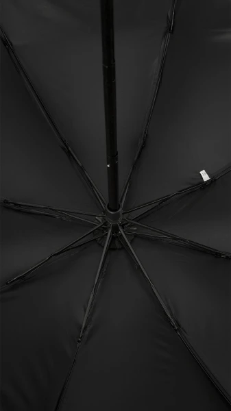 picture-3