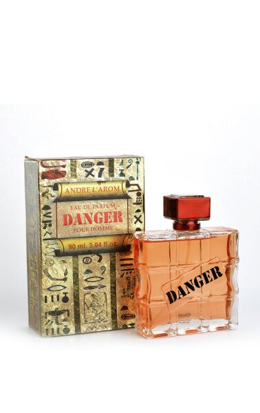 Парфумована вода для чоловіків ANDRE L&#039;AROM DANGER 100 мл (4820186821642)