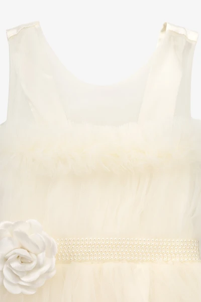 picture-2