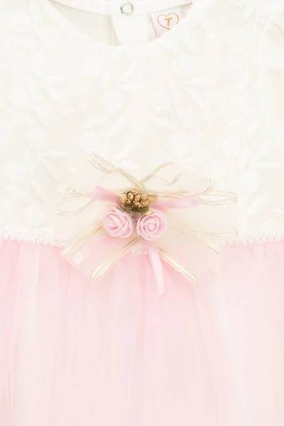 picture-3