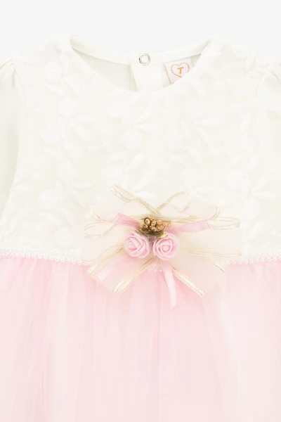 picture-2