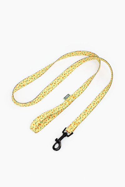 Купить Поводок ТМ HIDOG "Flawers yellow" , ширина 10 мм (довжина 152 см) (2100102364012A)(SN) Артикул: 2100102364012 Фото №4