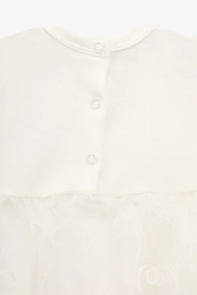 picture-4