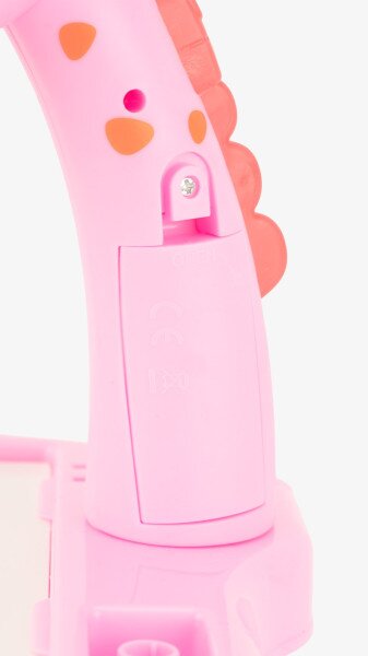 picture-4