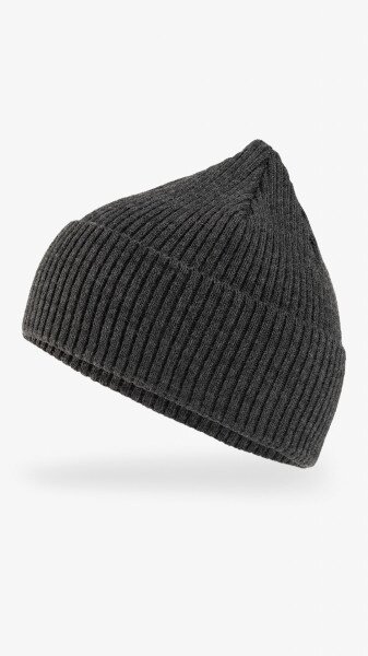 Купить Шапка мужская Nord 211031 One Size Графитовый Артикул: 2000999296000 Фото №1