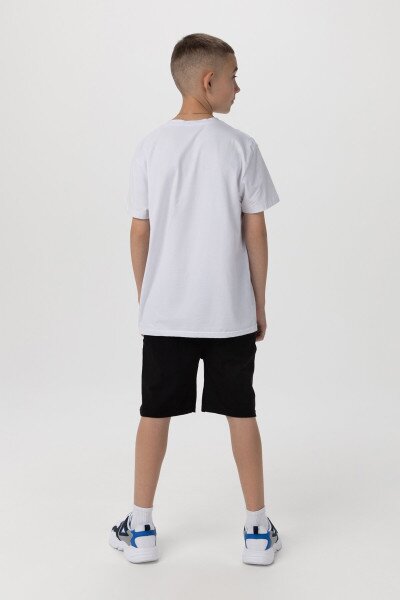 picture-4