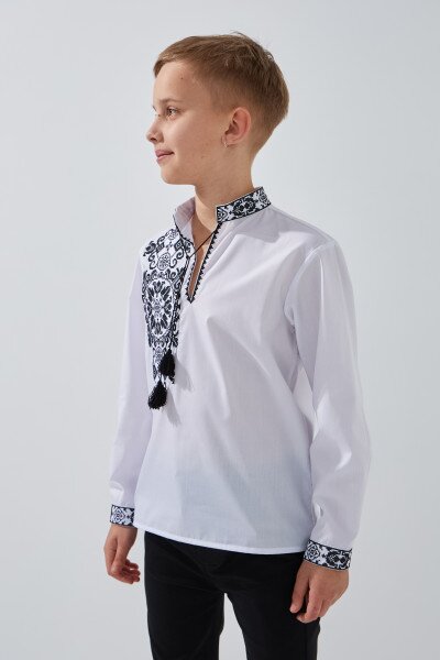 picture-3