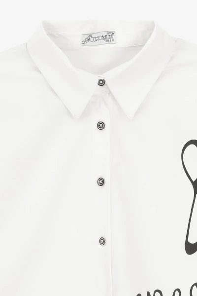 picture-2