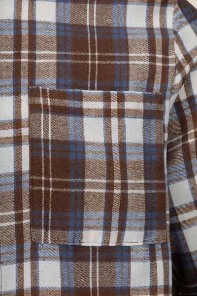 picture-3