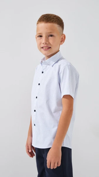 picture-3