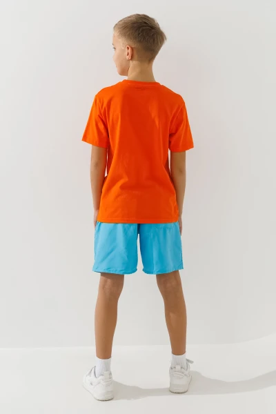 picture-4