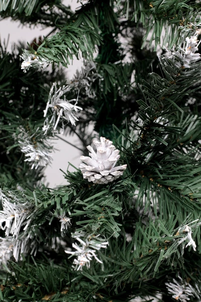 picture-4
