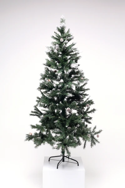 picture-1