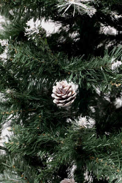 picture-2