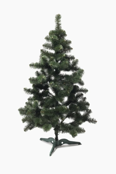 picture-1