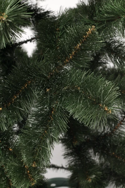 picture-3