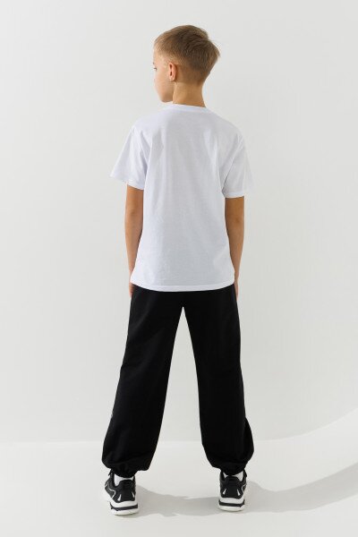 picture-4