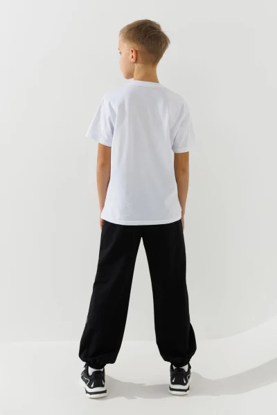 picture-4