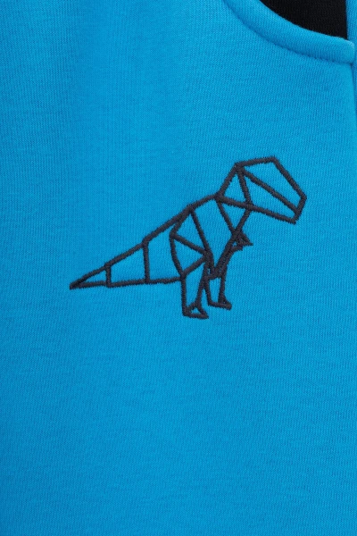 picture-3