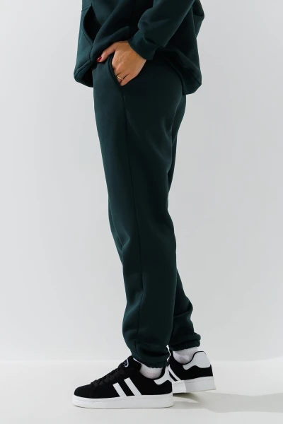 picture-4