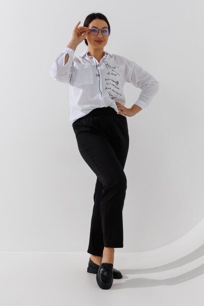 picture-4